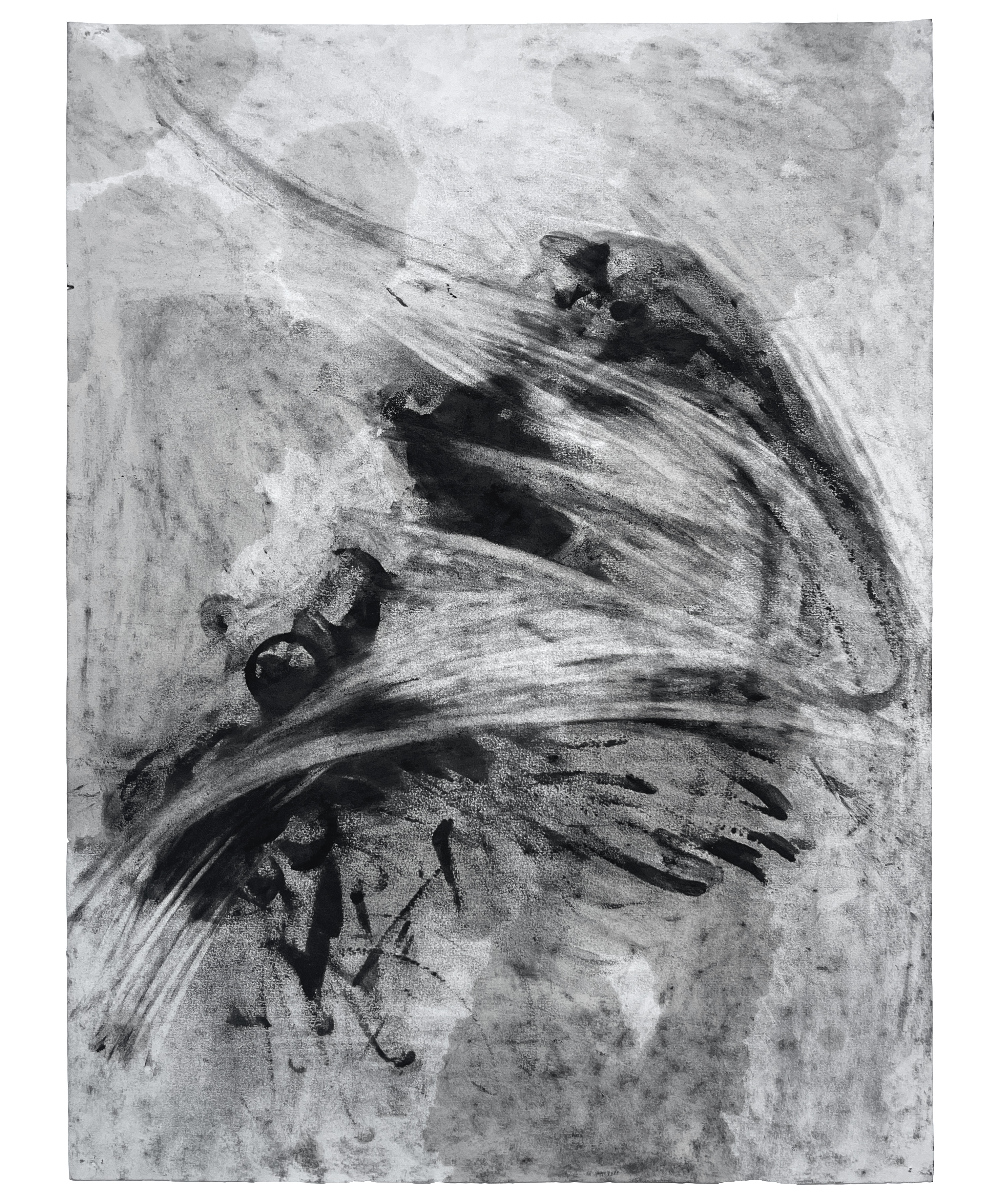 Flex-y Beast II, 24x18, charcoal on paper, 2026, PRIVATE COLLECTION